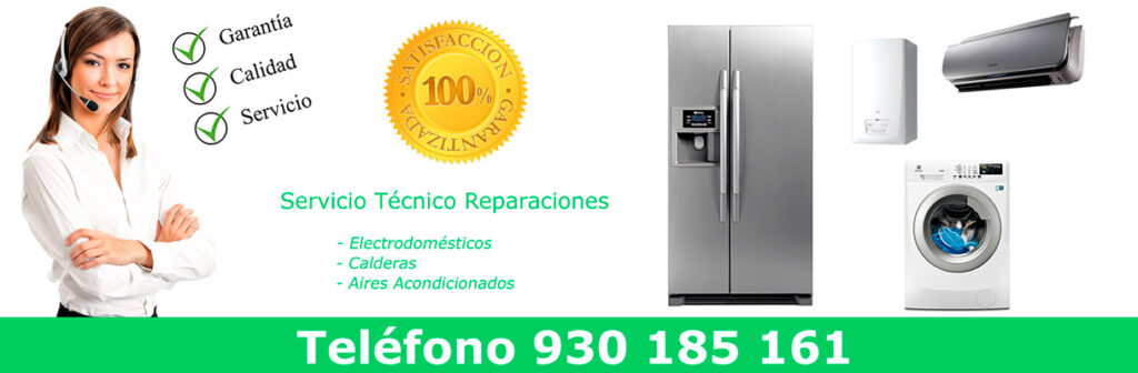 Servicio Tecnico Liebherr Sabadell